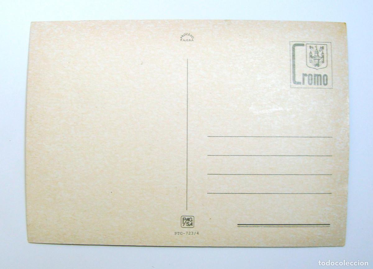 Postales: TARJETA POSTAL UN GATITO , SIN CIRCULAR - Foto 2