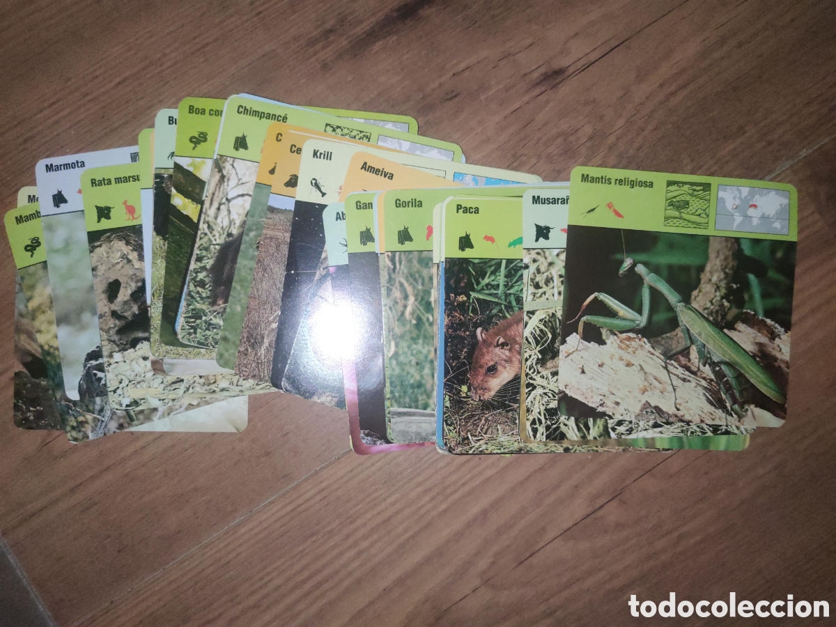 Postais: Postales sueltas. Conocer y amar a los animales. Planeta . Ver descripci&oacute;n