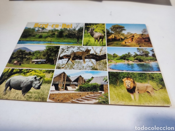 Postais: Postal Sud&aacute;frica animales berg en dal