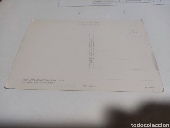 Postales: Postal elefantes - Foto 2