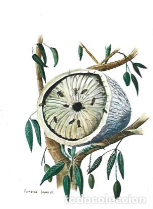 Postais: Mozambique ** & Entero, Apicultura, Colmena Tradicional 1985 (78799)