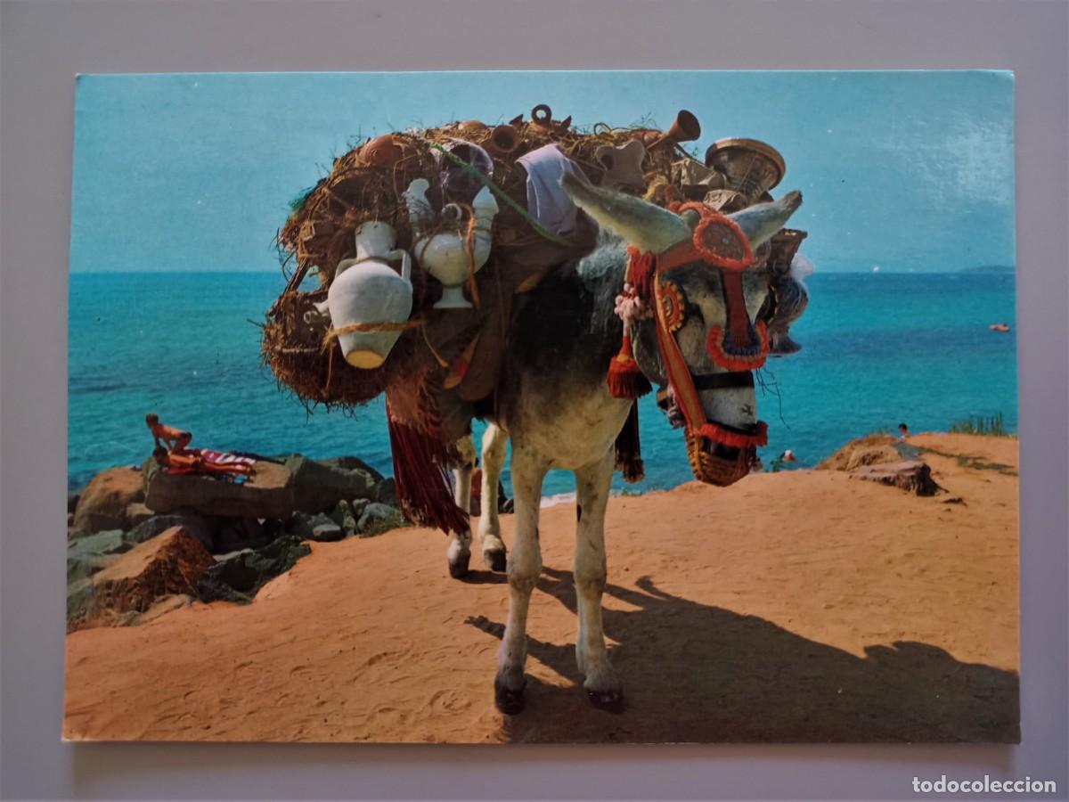 Postales: Burro botijero. Circulada. - Foto 1