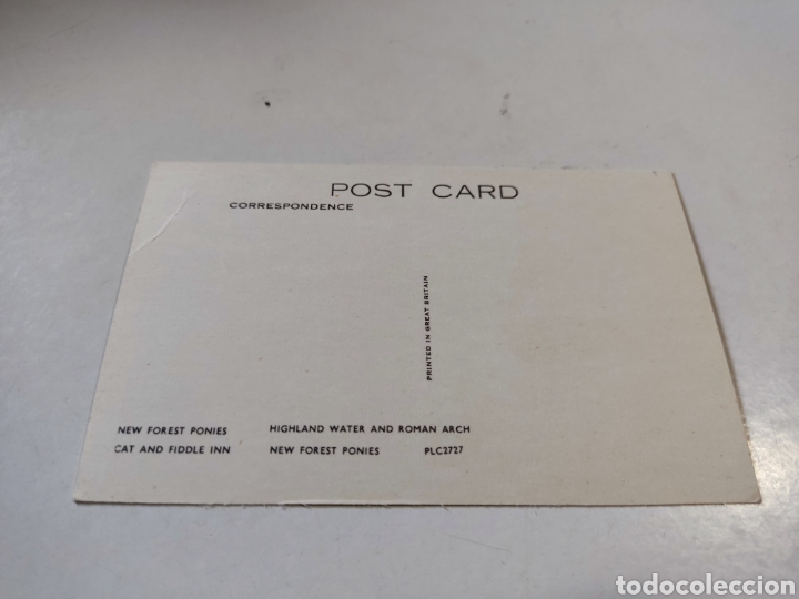 Postales: Postal new forest, caballos - Foto 2
