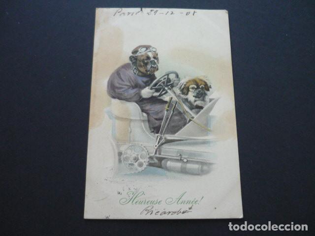Postales: PERROS EN AUTOMOVIL POSTAL - Foto 1