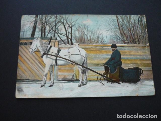 Postales: CABALLO Y TRINEO POSTAL - Foto 1