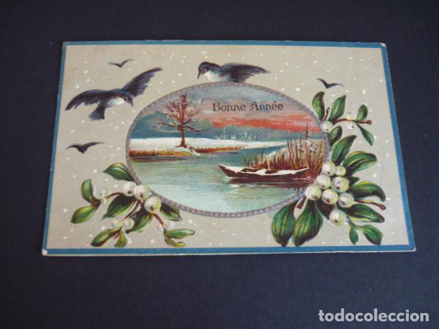Postales: PAJAROS Y PAISAJE POSTAL - Foto 1