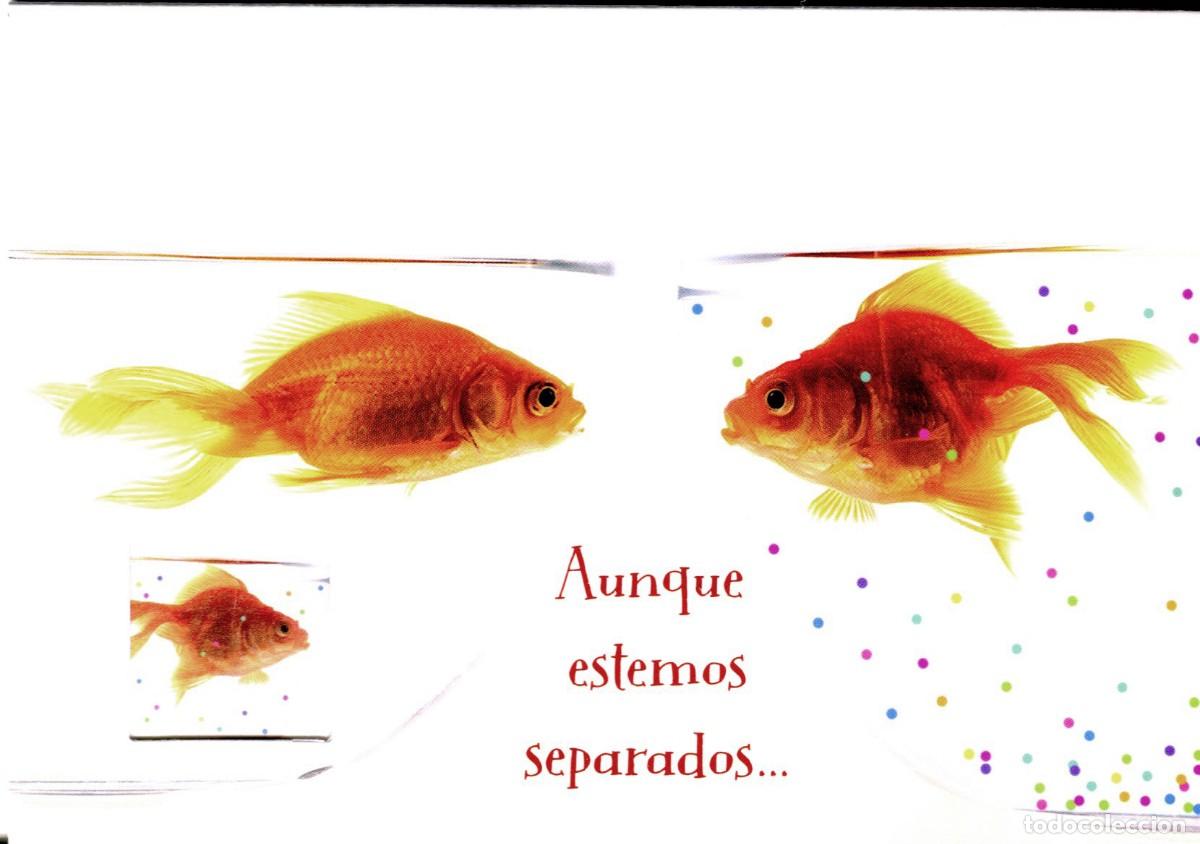 Cartes Postales: TARJETA POSTAL DIPTICO PECES HALLMARK PEQUE&Ntilde;AS VENTANAS 14 X 10 CM