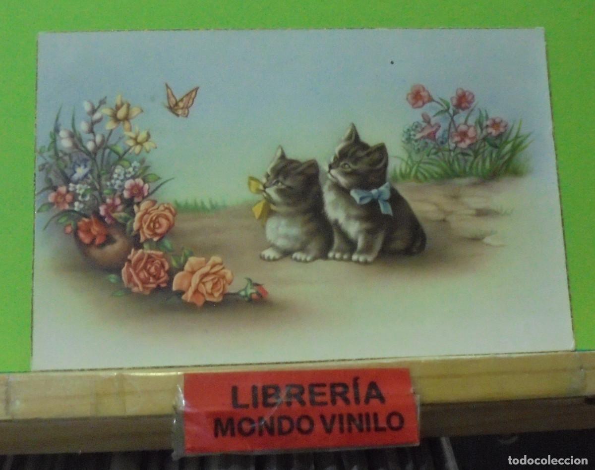 Postkarten: Postal con gatos (esta escrita)
