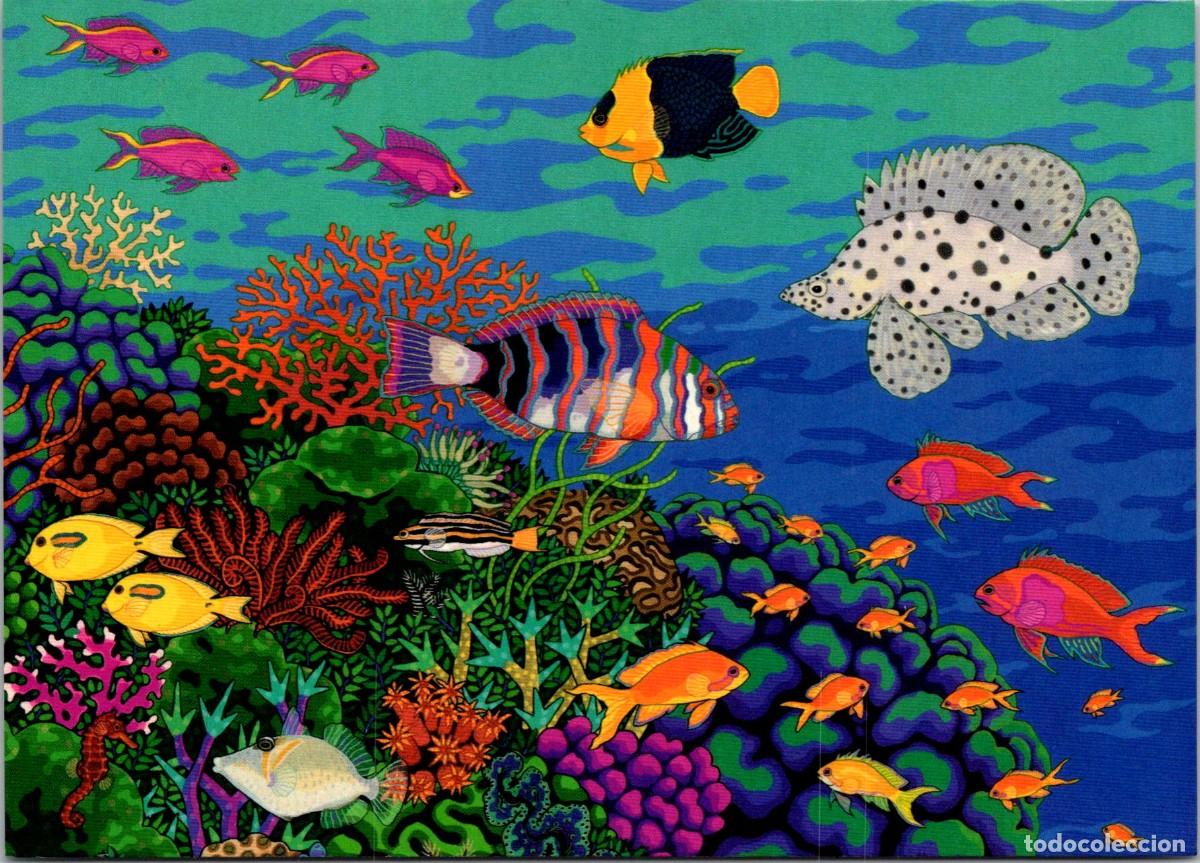 Postales: Coral Kingdom - The Grat Barrier Reef - David Ashe - Data P8- 150x107mm