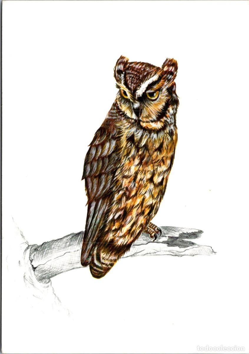 Postais: Autillo -Adenex - Asociaci&oacute;n para la Defensa de la Naturaleza y de los Recursos de Extremadura