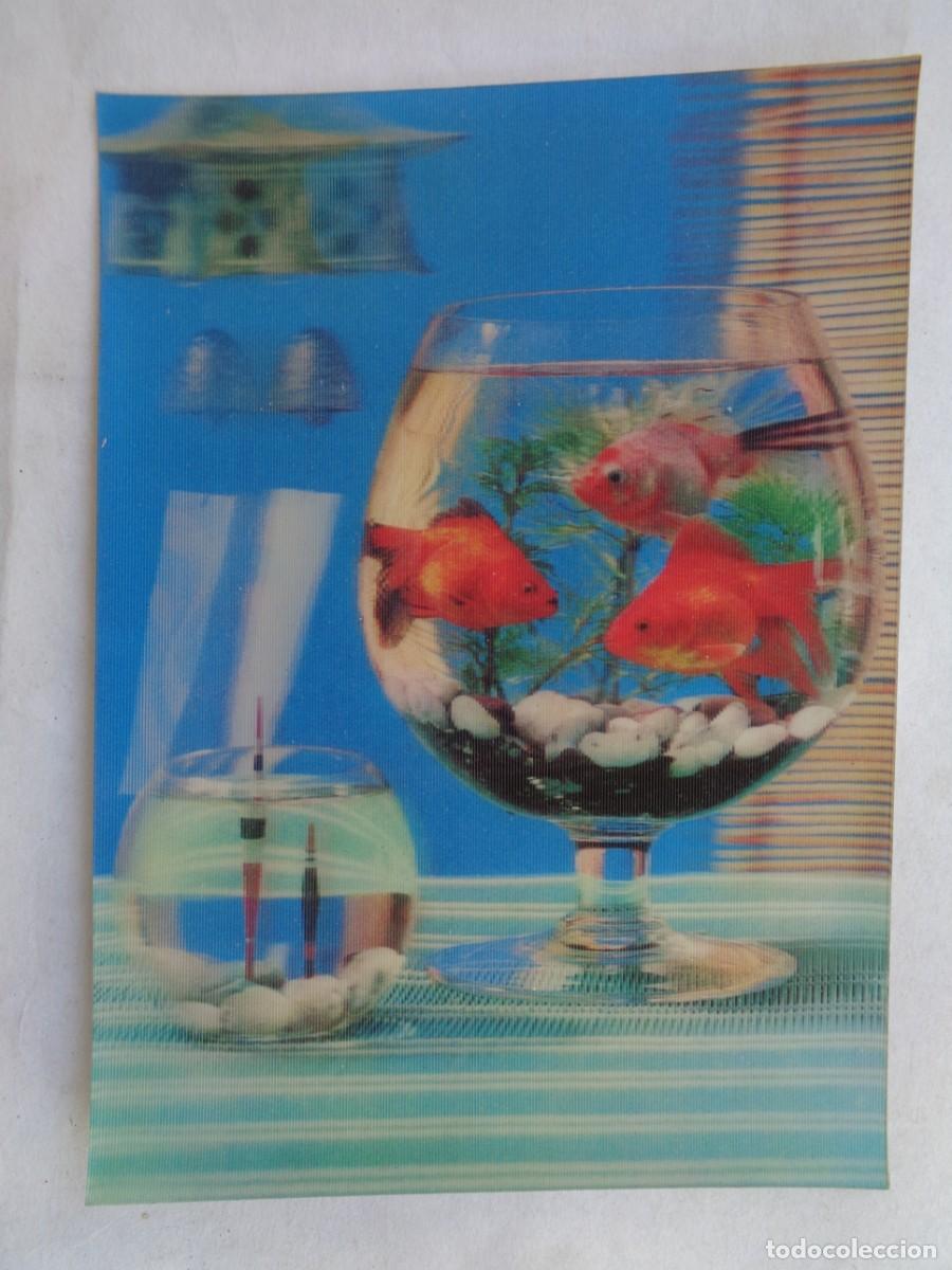 Postales: GRACIOSA POSTAL CON PECES , TIPO STEREORAMA . A&Ntilde;OS 60