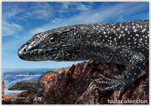 Postcards: Portugal & Maxima, Especies end&eacute;micas terrestres de Madeira, Lagartixa, Lacerta dugesii 2023 (979993