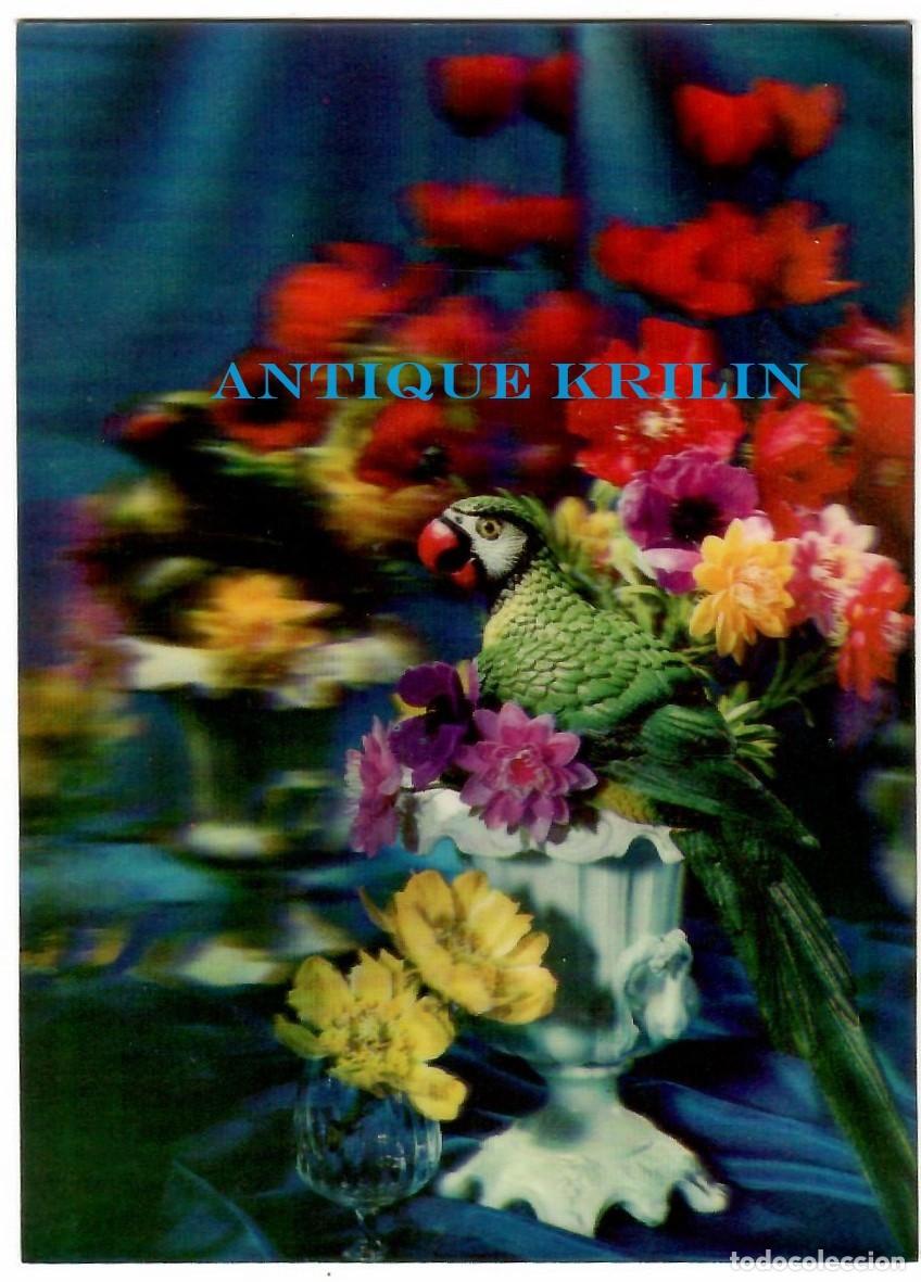 Postales: POSTAL EFECTOS 3D / COTORRA / SIN CIRCULAR