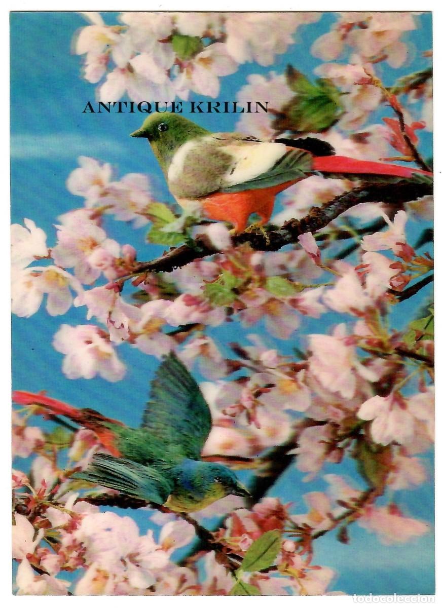 Postales: POSTAL EFECTOS 3D / AVES / EDICION VISIORELIEF / SIN CIRCULAR