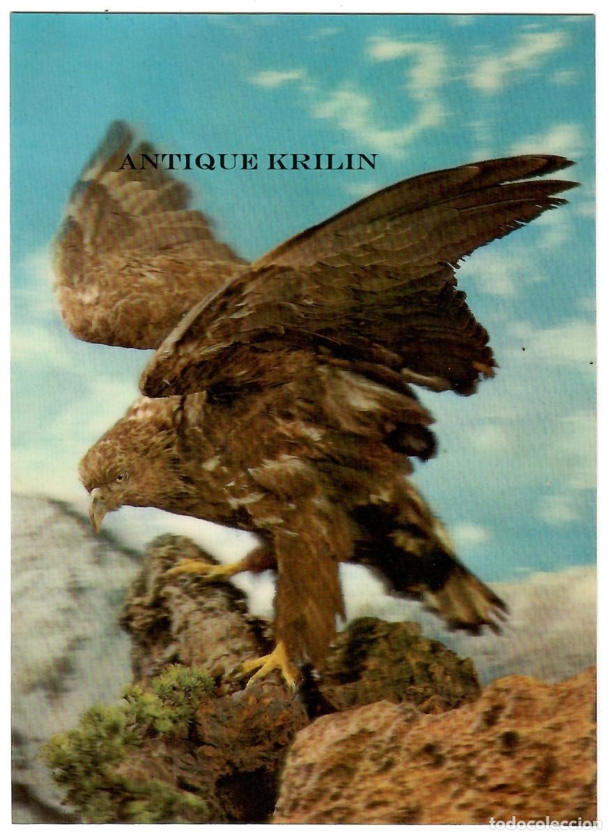Postales: POSTAL EFECTOS 3D / AGUILA / SIN CIRCULAR - Foto 1