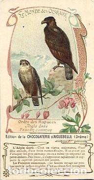 Postales: Francia ** & El Mundo de las Aves, Orden de las Aves Rapaces, &Aacute;guila Real, Chocolater&iacute;a PUB (4445)