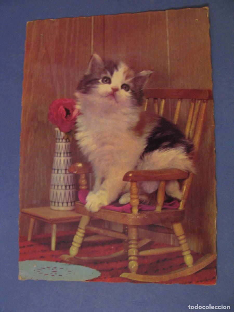 Postcards: POSTAL DE UN GATITO. M. D. PARIS. ESCRITA 1967.