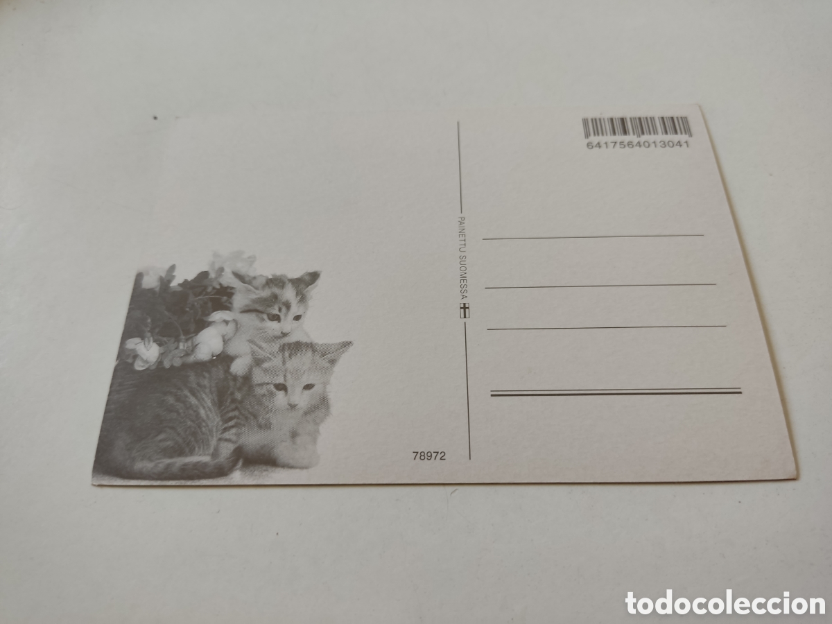 Postales: Postal caballo - Foto 2