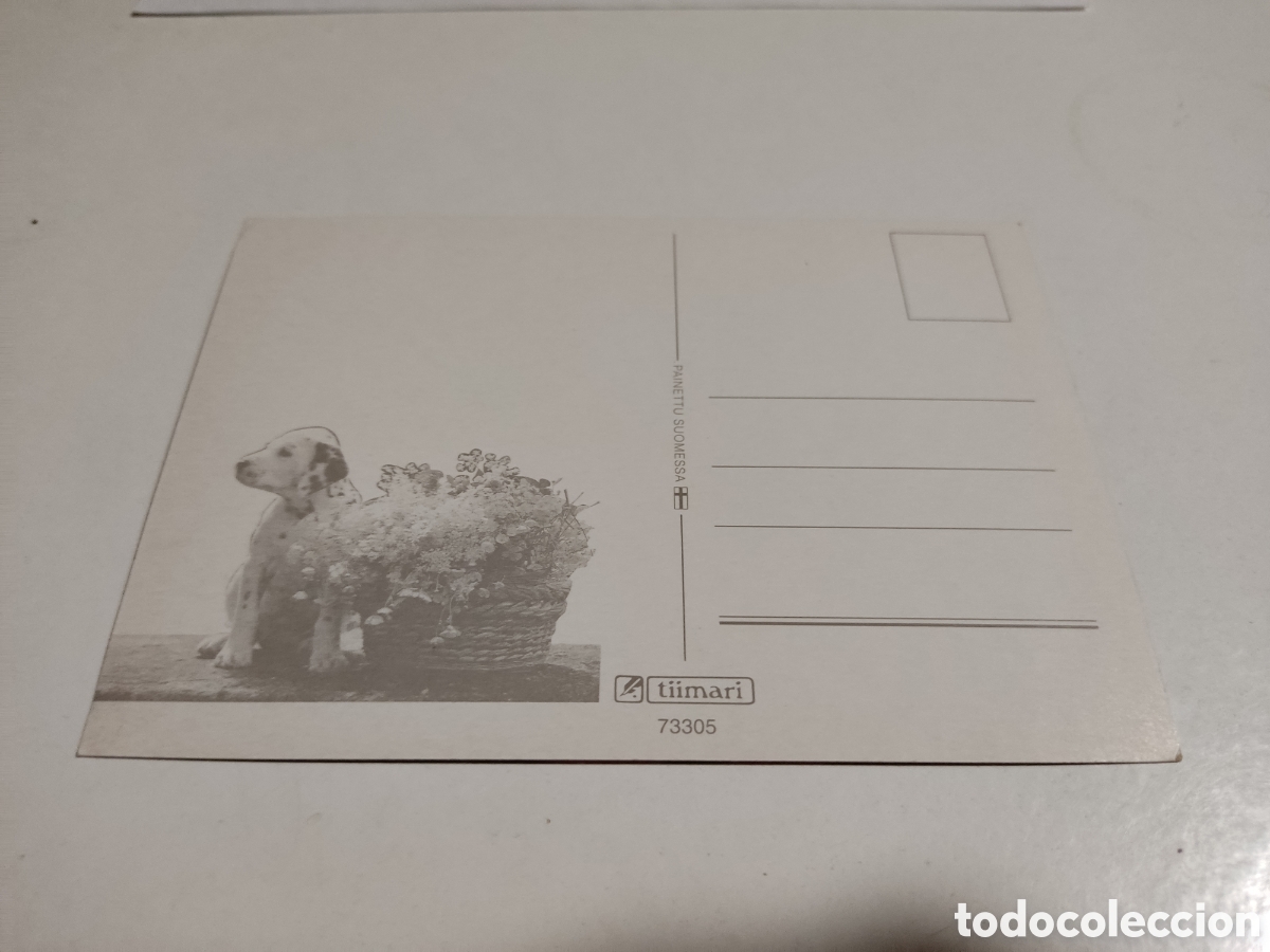 Postales: Postal perros - Foto 2