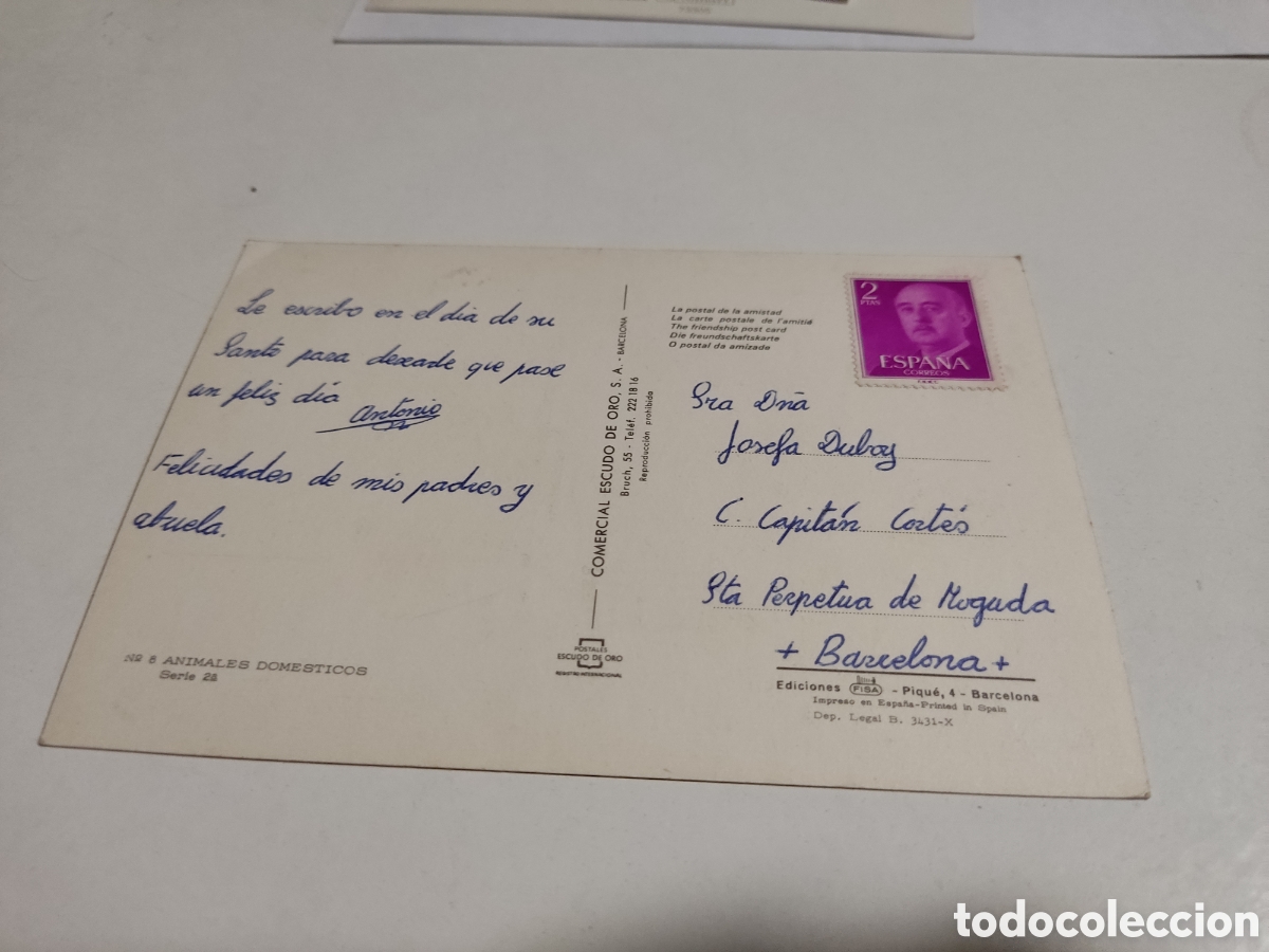 Postales: Postal perros - Foto 2