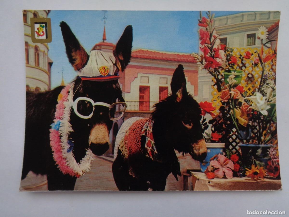 Postcards: POSTAL DE BURROS , SERIE ANIMALES COMICOS . A&Ntilde;OS 70