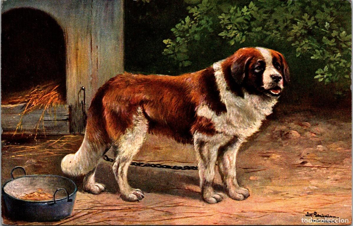 Cartes Postales: Perro - Ilustra: Alfred Sch&ouml;nian - Ed. Theo Stroefer - Serie 537 n&ordm; 9 - 139x89mm