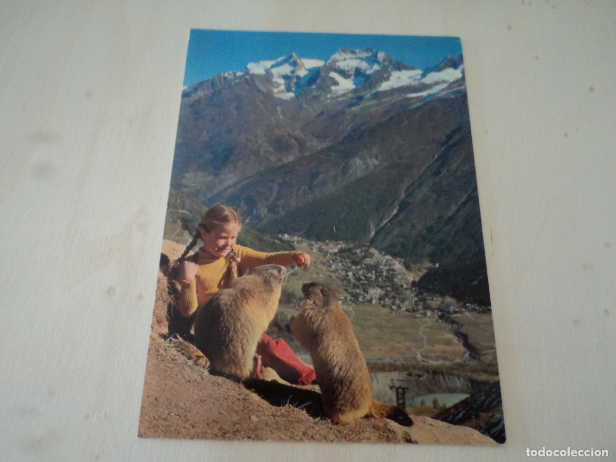 Postales: murmeltiere - Foto 1