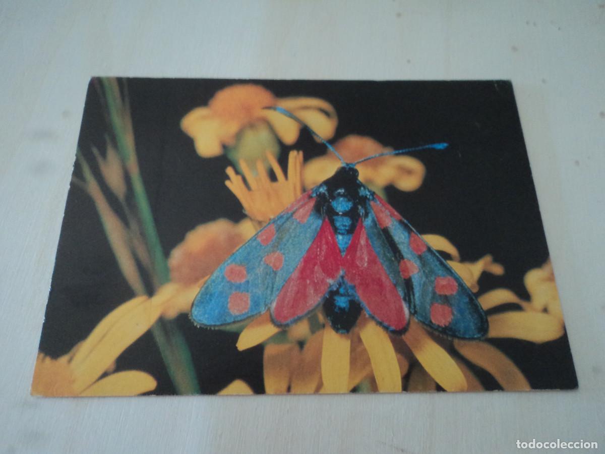 Postales: blutstropfchen - Foto 1