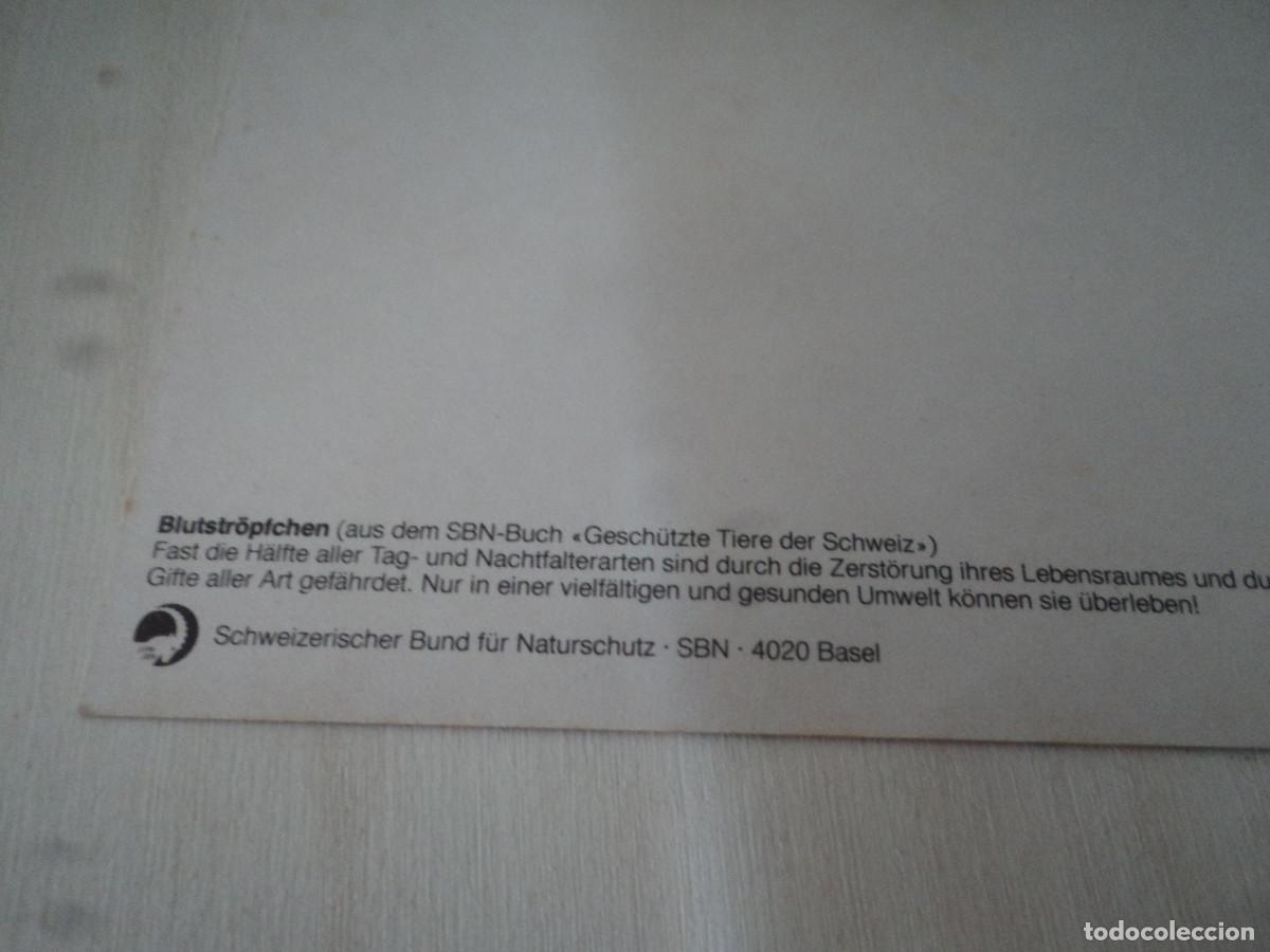 Postales: blutstropfchen - Foto 2