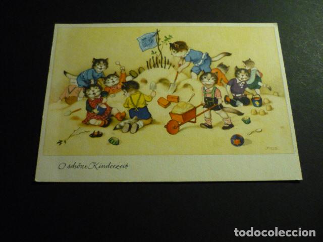 Postales: GATOS JUGANDO POSTAL - Foto 1