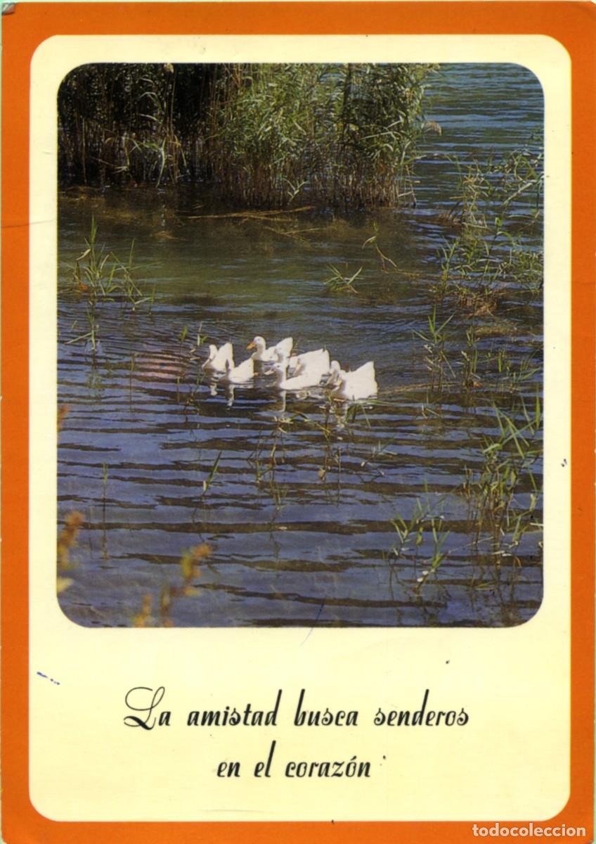 Postcards: POSTAL DE PATOS CON POES&Iacute;A. ED. sVe
