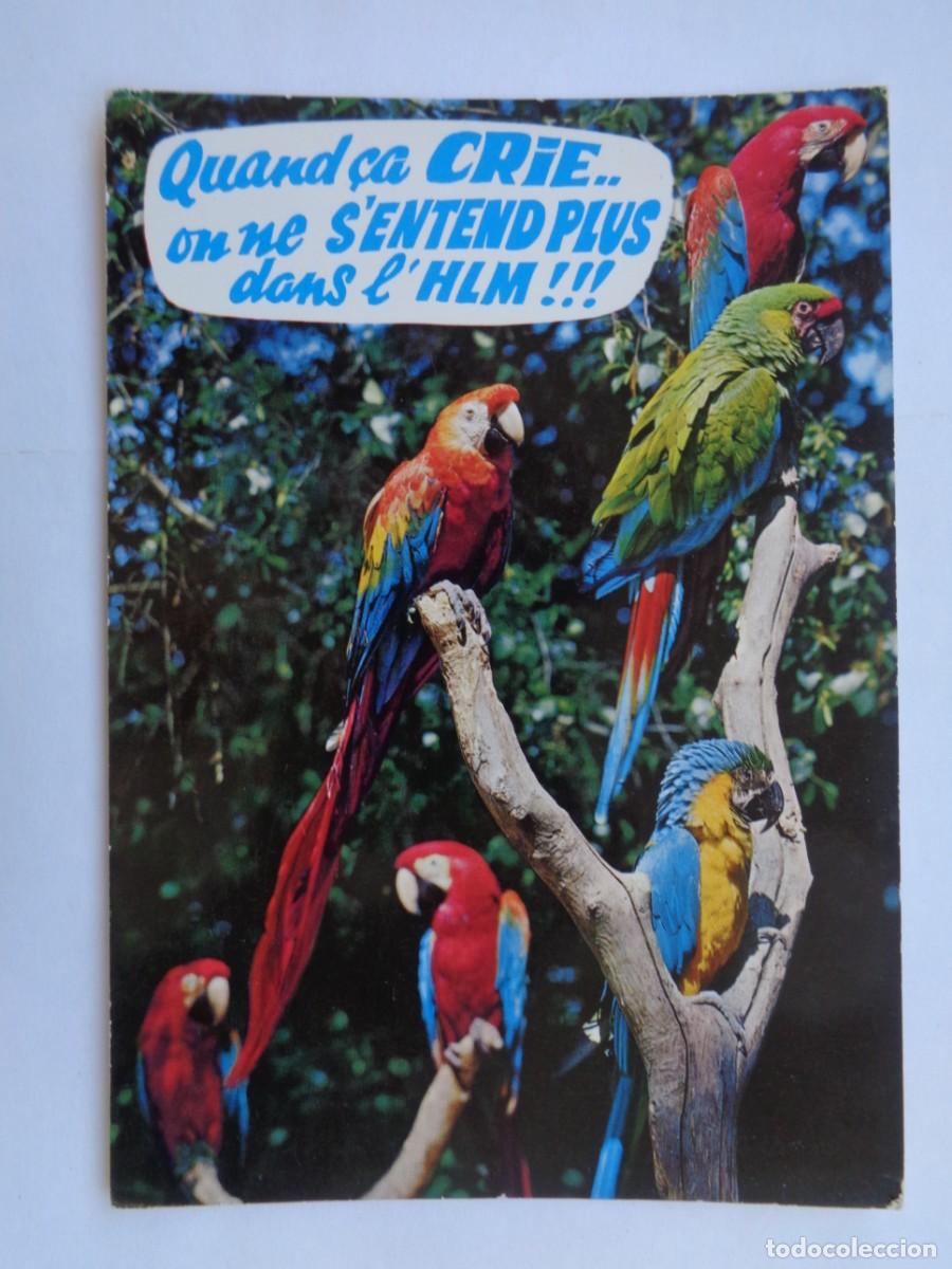 Postcards: POSTAL DE LA COLECCION ANIMALES HUMRISTICOS : LOROS DE AMERICA DEL SUR . FRANCIA