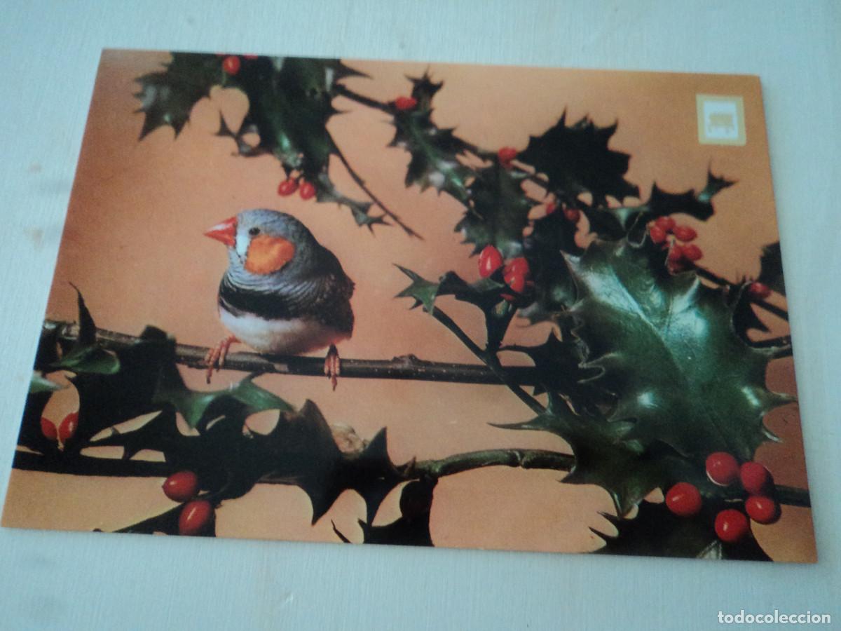 Postales: n&ordm; 1 pajaros, ed. escudo - Foto 1