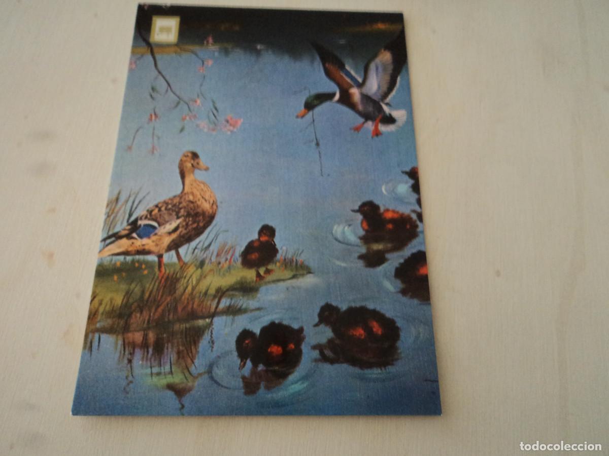 Postales: n&ordm; 6 pajaros, ed. escudo - Foto 1