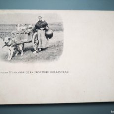 Postales: POSTAL BELGICA BELGIQUE ANIMALES PERROS LECHEROS LAITIERE FLAMANDE FRONTIERE HOLLANDAISE