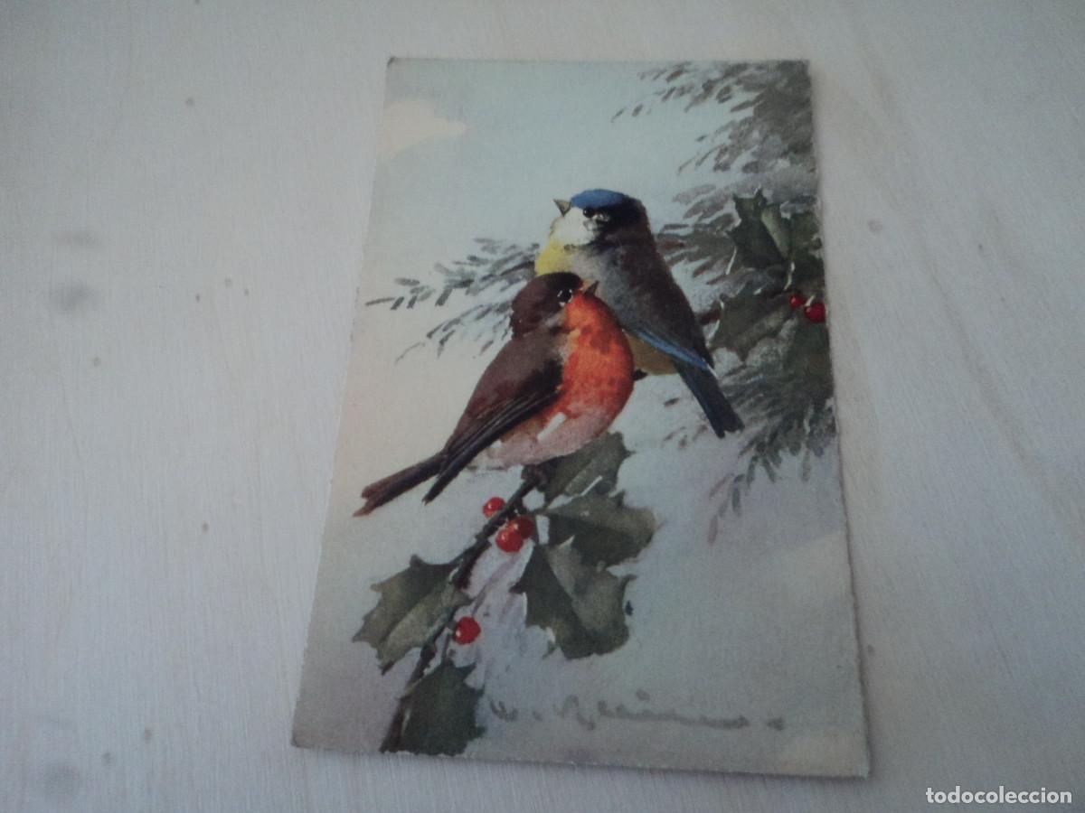 Postais: 127, PAJARITOS, ED. STEHLI, STZF, 14 X 9 CM