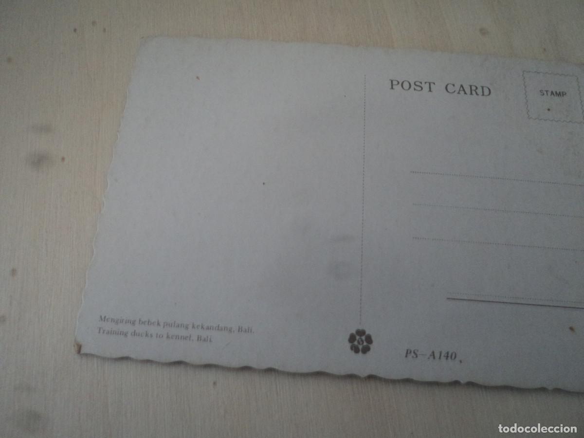Postales: escoltando a los patos, ed. ps - a 140 - Foto 2