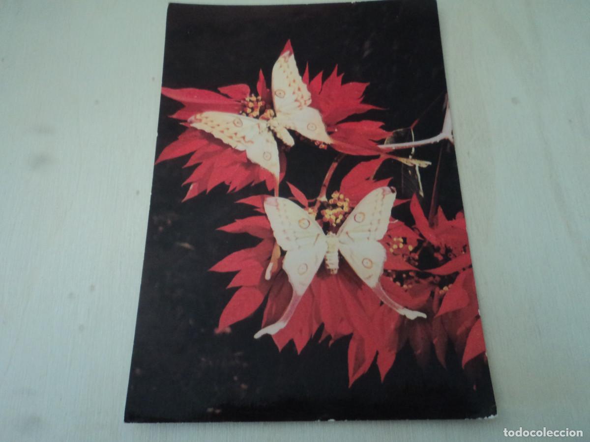 Postais: papillon des tropics, 3327, circulada, ed. hoa-qui
