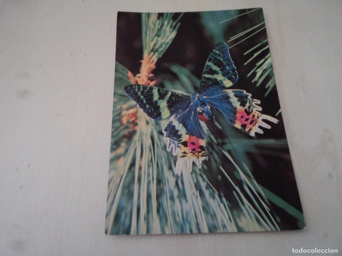 Postais: papillon des tropics, 3323, ed. hoa-qui