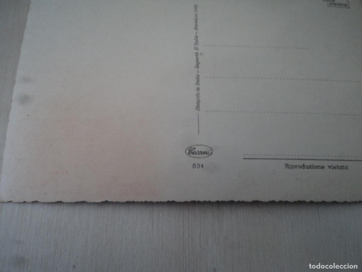 Postales: procione lavatore, cecami 834 - Foto 2