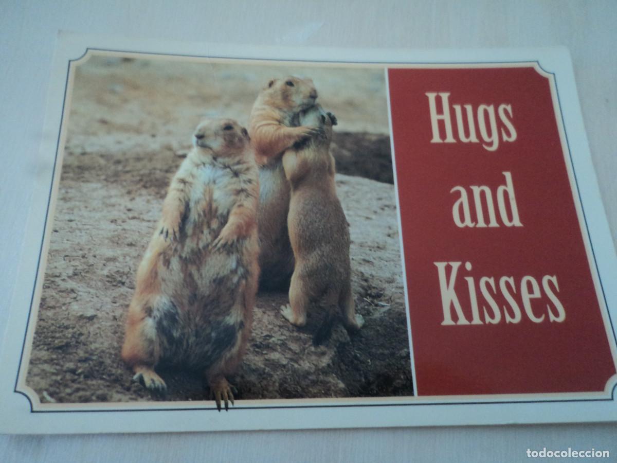 Postais: prairie dog, circulada