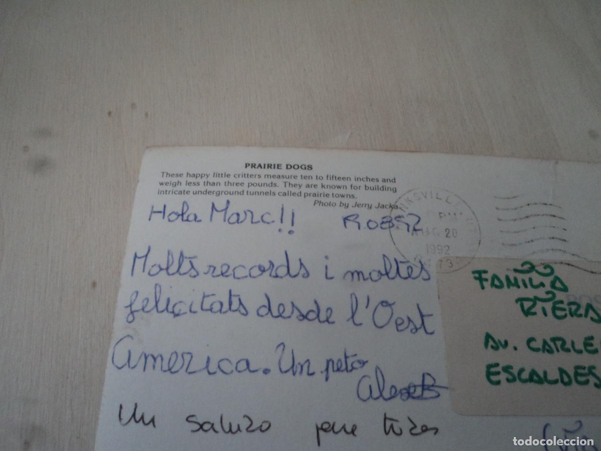 Postales: prairie dog, circulada - Foto 2