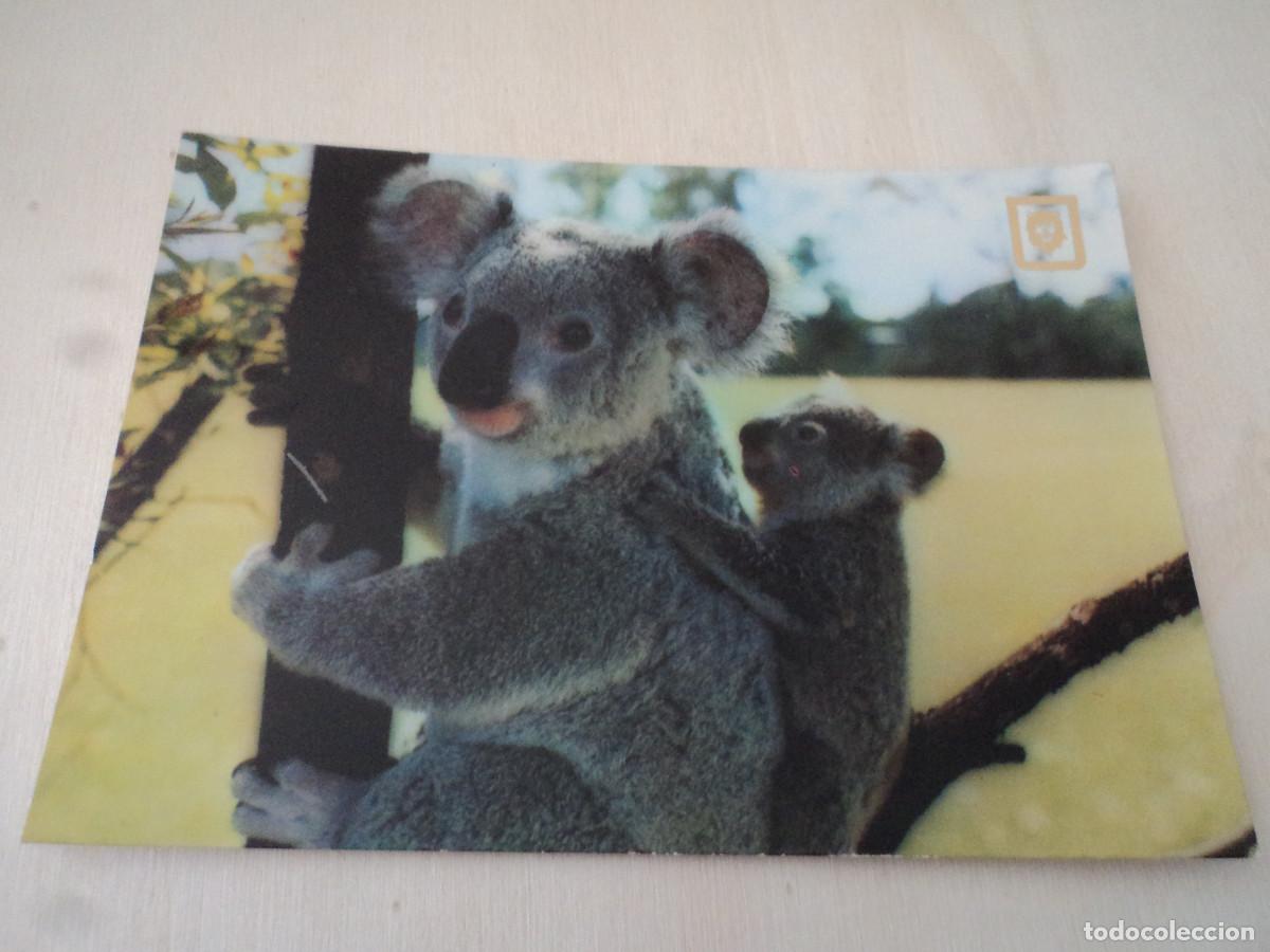 Postales: koala, serie 3106, ed,. escudo - Foto 1