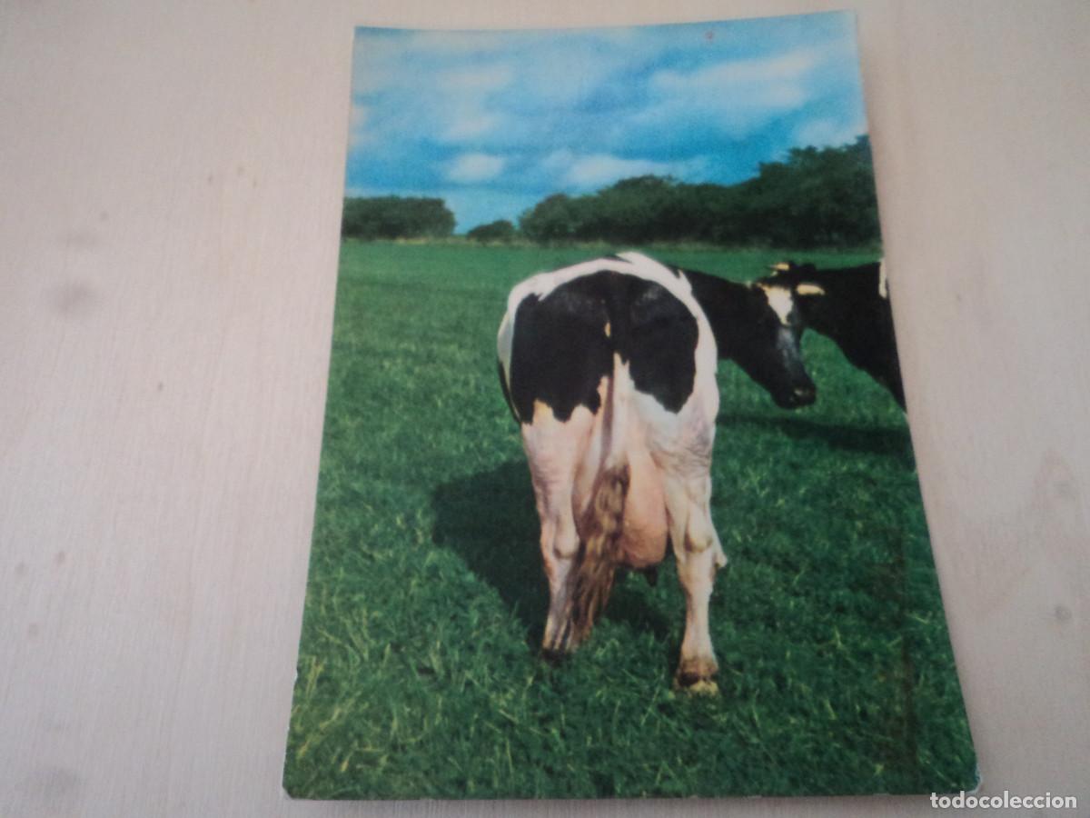 Postais: publicitaria, ganado selecto con nordimpex, circulada 1973