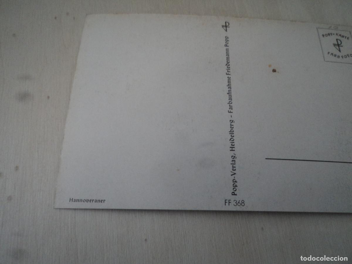 Postales: caballo, hannoveraner, ff368 - Foto 2