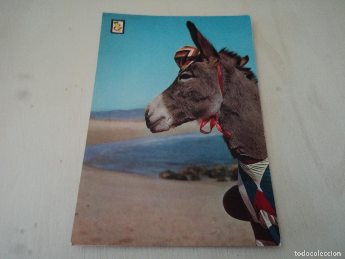 Postales: 5 que chulo soy, ed. escudo - Foto 1