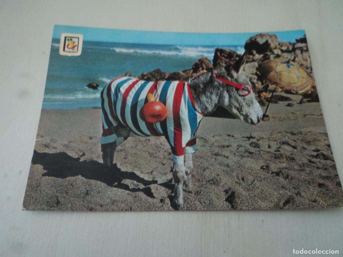 Postales: 8 que burro soy, ed. escudo - Foto 1