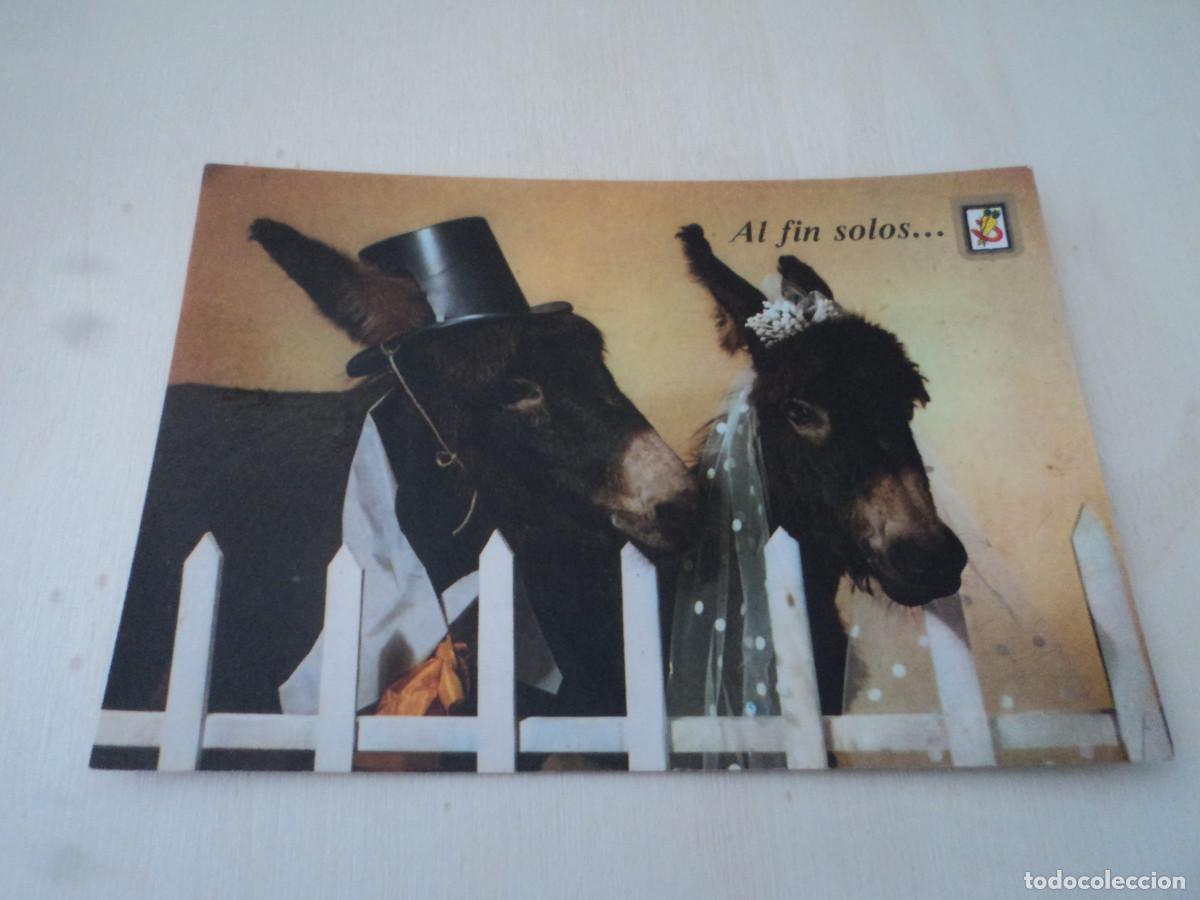Postales: 22 al fin solos, ed. escudo - Foto 1