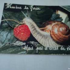 Postales: RAMENE TA FRAISE, CARACOL, ED. COLLECTION DU CLUB