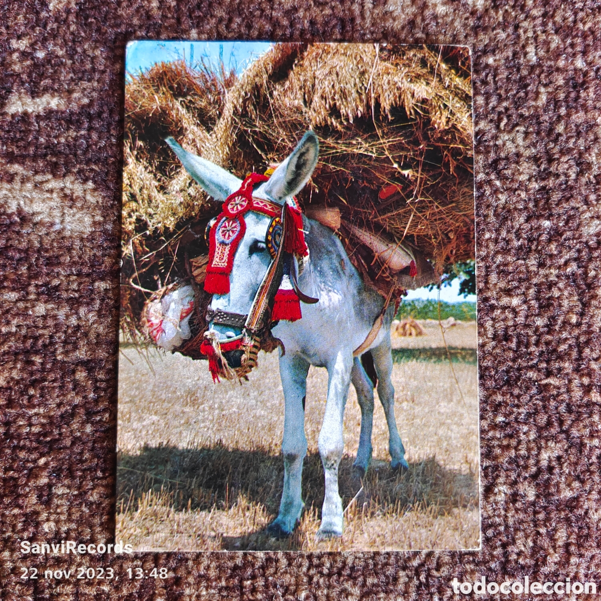 Cartes Postales: POSTAL: ESPA&Ntilde;A T&Iacute;PICA, VACACIONES EN ESPA&Ntilde;A